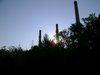 Dsc02821.jpg
03/03/2012 12:41:04
438.98 KB