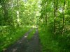 Dsc02832.jpg
03/03/2012 12:41:13
1.69 MB