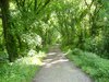 Dsc02834.jpg
03/03/2012 12:40:51
1.51 MB