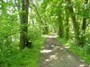 Dsc02884.jpg
03/03/2012 12:40:04
1.88 MB