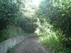 DSC01309.JPG
03/03/2012 13:05:03
587.44 KB