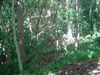 DSC01311.JPG
03/03/2012 13:04:59
571.9 KB