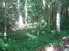 DSC01312.JPG
03/03/2012 13:04:58
584.23 KB