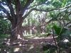 DSC01317.JPG
03/03/2012 13:04:52
592.54 KB