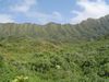 DSC01323.JPG
03/03/2012 13:04:41
584.62 KB