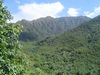 DSC01327.JPG
03/03/2012 13:04:34
588.39 KB