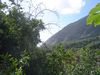 DSC01337.JPG
03/03/2012 13:04:23
583.45 KB