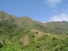 DSC01342.JPG
03/03/2012 13:04:17
560.42 KB