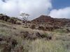 DSC01377.JPG
03/03/2012 13:07:14
590.29 KB