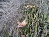 DSC01387.JPG
03/03/2012 13:06:58
605.43 KB