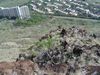 DSC01410.JPG
03/03/2012 13:06:20
606.83 KB
