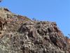 DSC01435.JPG
03/03/2012 13:05:22
605.96 KB
