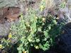 DSC01524.JPG
03/03/2012 13:15:16
591.55 KB
