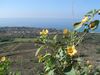 DSC01525.JPG
03/03/2012 13:15:13
578.57 KB