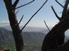 DSC01566.JPG
03/03/2012 13:13:42
518.44 KB