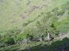 DSC01597.JPG
03/03/2012 13:12:22
590.53 KB