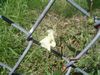 DSC01654.JPG
03/03/2012 13:15:45
609.91 KB