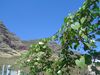 DSC01655.JPG
03/03/2012 13:15:44
598.99 KB