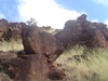 DSC01950.JPG
03/03/2012 13:17:46
324.36 KB