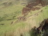 DSC01957.JPG
03/03/2012 13:17:42
326.33 KB