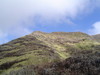 DSC01988.JPG
03/03/2012 13:17:31
313.68 KB
