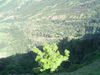 DSC02023.JPG
03/03/2012 13:17:11
322.7 KB