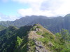 DSC02049.JPG
03/03/2012 13:16:50
320.07 KB