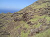 DSC02083.JPG
03/03/2012 13:16:29
322.91 KB