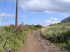 DSC02139.JPG
03/03/2012 13:18:22
325.74 KB