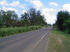 DSC02154.JPG
03/03/2012 13:18:14
330.1 KB