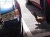 DSC02159.JPG
03/03/2012 13:18:12
325.1 KB