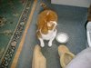 DSC00107.JPG
03/03/2012 13:19:17
785.77 KB