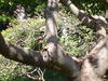DSC02211.JPG
03/03/2012 13:18:59
318.36 KB