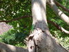 DSC02212.JPG
03/03/2012 13:18:58
319.72 KB