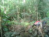 DSC02093.JPG
03/03/2012 13:19:35
316.21 KB