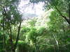DSC02100.JPG
03/03/2012 13:19:31
314.5 KB