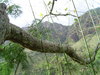 DSC02102.JPG
03/03/2012 13:19:27
323.78 KB