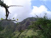 DSC02104.JPG
03/03/2012 13:19:24
318.38 KB