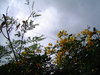 DSC02107.JPG
03/03/2012 13:19:21
316.04 KB