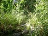 Dsc00111.jpg
03/03/2012 13:22:39
2.04 MB