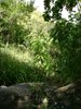 Dsc00129.jpg
03/03/2012 13:22:21
1.39 MB