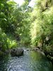 Dsc00135.jpg
03/03/2012 13:22:16
1.7 MB