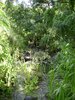 Dsc00137.jpg
03/03/2012 13:22:12
1.46 MB