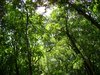 Dsc00157.jpg
03/03/2012 13:22:07
2.05 MB