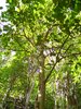 Dsc00204.jpg
03/03/2012 13:21:44
1.51 MB