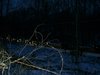 Dsc02250.jpg
03/03/2012 13:35:59
672.7 KB
