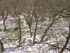 Dsc02607.jpg
03/03/2012 13:35:25
2.04 MB