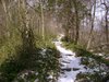 Dsc02613.jpg
03/03/2012 13:35:16
1.98 MB
