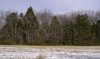 Dsc02645.jpg
03/03/2012 13:34:53
995.07 KB