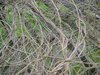 Dsc02773.jpg
03/03/2012 13:34:15
1.4 MB